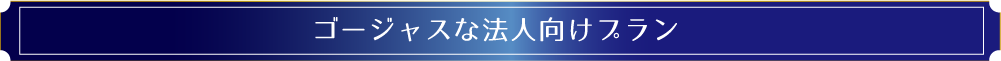 ゴージャスな法人プラン